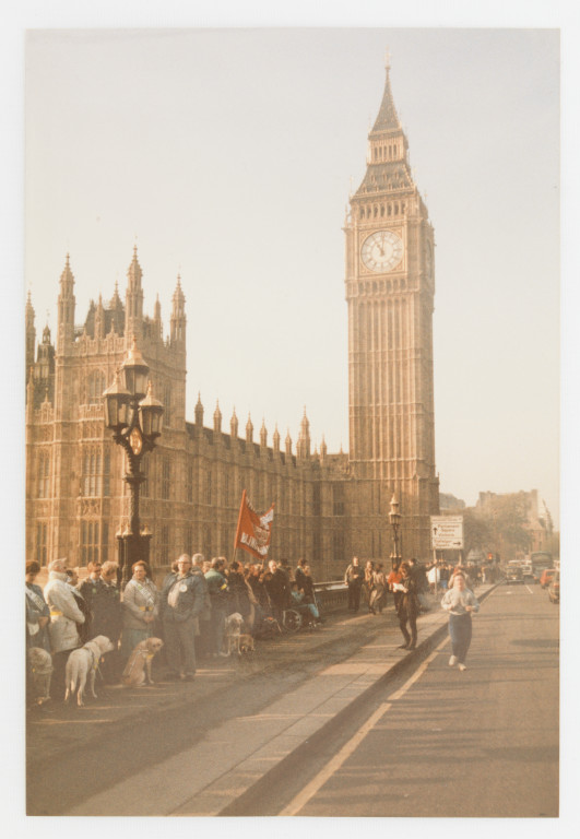BCODP Rally – London Bridge and Trafalgar Square
